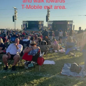 Crowd seated on grass at outdoor concert